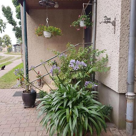 Ferienwohnung Siebmann ノイルピーン エクステリア 写真