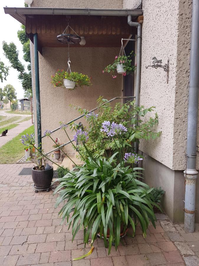Ferienwohnung Siebmann ノイルピーン エクステリア 写真